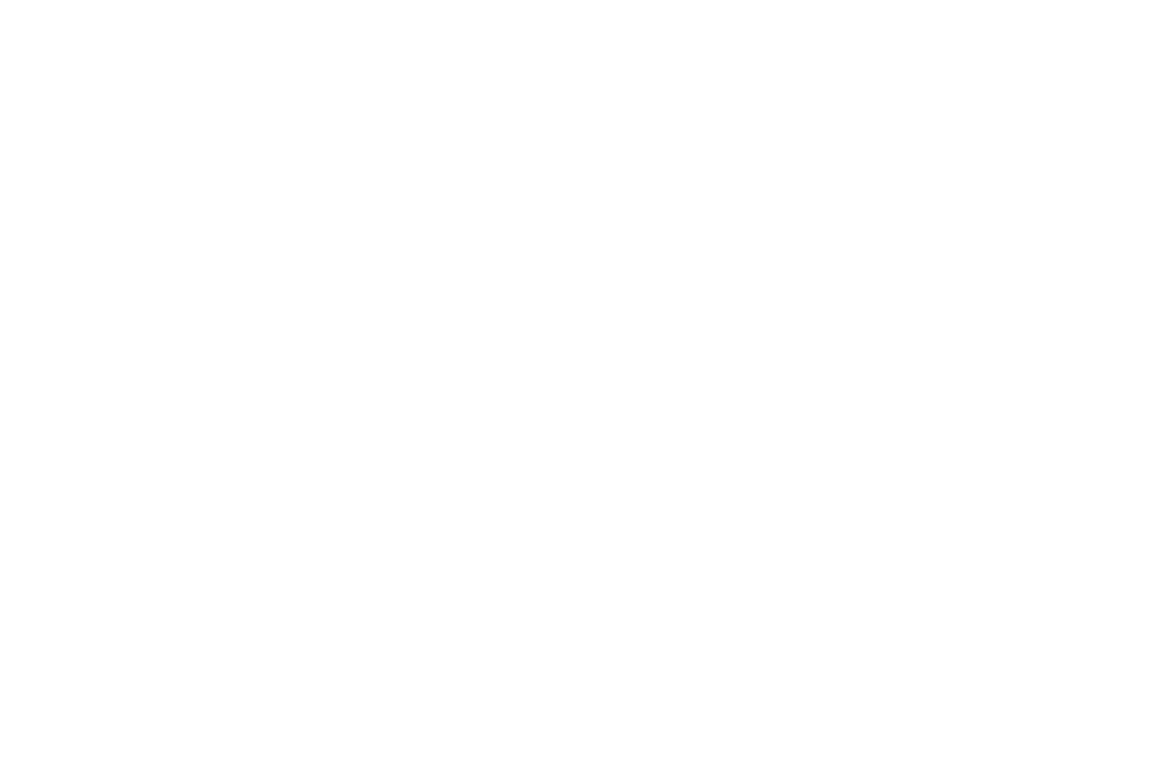 Logo Flightly
